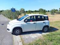 Fiat Panda Panda III 2012 1.2 Lounge 69cv Bianco usata Montecatini-Terme