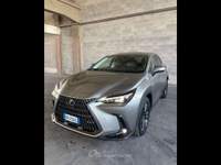 Lexus NX  - nx 450h+ 2.5 phev premium+ 4wd 309cv e-cvt Argento usata Piacenza