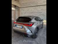 Lexus NX  - nx 450h+ 2.5 phev premium+ 4wd 309cv e-cvt Argento usata Piacenza