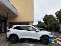 Ford Kuga 1.5 ecoblue Titanium 2wd 120cv Bianco usata Pomezia