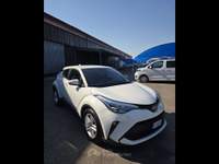 Toyota C-HR  - c-hr 1.8h active e-cvt Bianco usata Piacenza