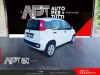 Fiat Panda Panda 0.9 t.air t. natural power Easy 80cv E5+ Bianco usata Carrara Fiat Panda Panda 0.9 t.air t. natural power Easy 80cv E5+ Bianco usata Carrara