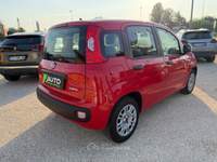 Fiat Panda FireFly S&S Hybrid Rosso usata Ferrara