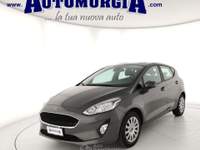 Ford Fiesta 1.1 75 CV 5 porte Titanium Grigio usata Barletta