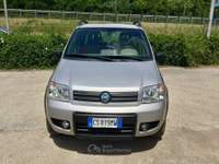Fiat Panda 1.2 60Cv 4x4 Climbing 5 Posti Argento usata TURRIVALIGNANI