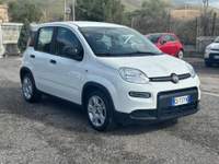 Fiat Panda 1.0 FireFly S&S Hybrid Bianco usata Pignataro Maggiore
