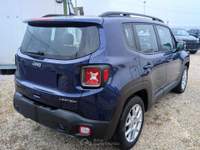 Jeep Renegade 1.6 Mjt 120 CV Limited con NAVI Blu/Azzurro usata Barletta