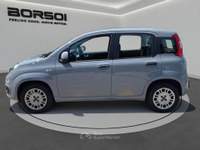 Fiat Panda  - panda 1.2 easy Grigio usata Treviso