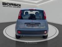 Fiat Panda  - panda 1.2 easy Grigio usata Treviso