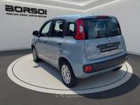 Fiat Panda  - panda 1.2 easy Grigio usata Treviso
