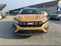 Dacia Sandero  - stepway extreme eco-g 100 Beige usata San Secondo di Pinerolo