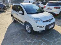 Fiat Panda 1.0 FireFly S&S Hybrid Launch Ed. Bianco usata Albano Laziale