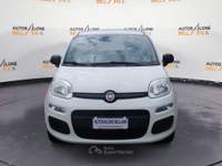 Fiat Panda Panda 1.2 Easy s&s 69cv my19 PREZZO REALE Bianco usata Feltre