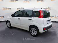Fiat Panda Panda 1.2 Easy s&s 69cv my19 PREZZO REALE Bianco usata Feltre