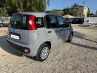 Fiat Panda Panda III 2021 1.0 firefly hybrid City Life s Grigio usata Cerveteri