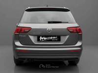 Volkswagen Tiguan Business DSG 2.0 TDI Grigio usata Civitavecchia