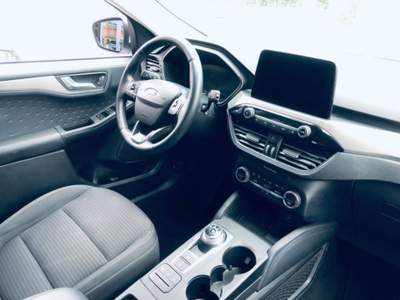 Ford Kuga 1.5 EcoBlue 120 CV aut. 2WD Titanium Business Bianco usata Isernia