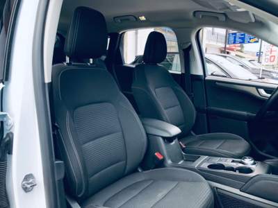 Ford Kuga 1.5 EcoBlue 120 CV aut. 2WD Titanium Business Bianco usata Isernia