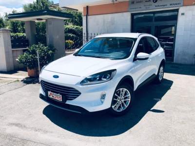 Ford Kuga 1.5 EcoBlue 120 CV aut. 2WD Titanium Business Bianco usata Isernia