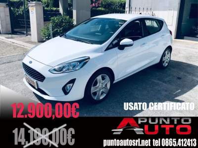 Ford Fiesta 1.5 EcoBlue 5 porte Business Bianco usata Isernia