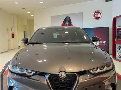 Alfa Romeo Tonale 1.3 280 CV PHEV AT6 Q4 Grigio usata Monselice