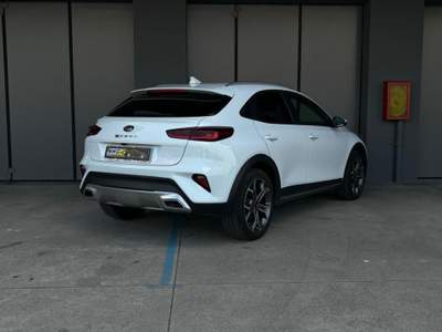 Kia XCeed 1.6 CRDi 136 CV MHEV iMT High Tech Bianco usata Monselice