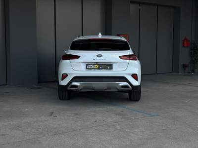 Kia XCeed 1.6 CRDi 136 CV MHEV iMT High Tech Bianco usata Monselice