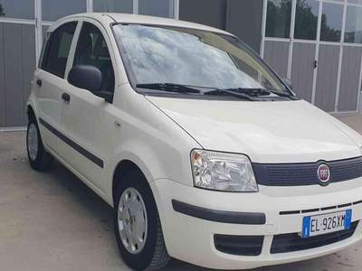 Fiat Panda 1.2 Classic Bianco usata Penne