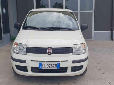 Fiat Panda 1.2 Classic Bianco usata Penne