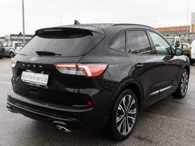 Ford Kuga 2.0 EcoBlue 190 CV aut. AWD St-line X Nero usata Silea