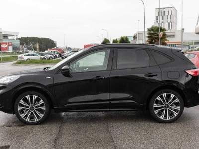 Ford Kuga 2.0 EcoBlue 190 CV aut. AWD St-line X Nero usata Silea