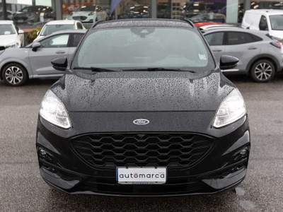 Ford Kuga 2.0 EcoBlue 190 CV aut. AWD St-line X Nero usata Silea