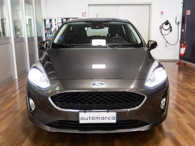 Ford Fiesta 1.1 75 CV 5 porte Business Grigio usata Silea