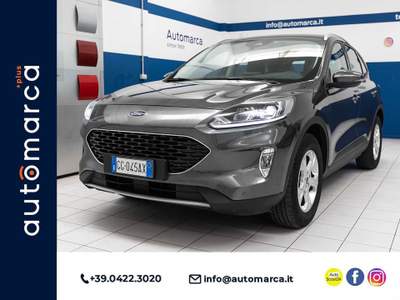 Ford Kuga 1.5 EcoBoost 120 CV 2WD Connect Grigio usata Silea
