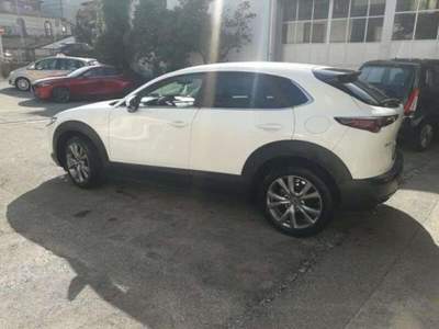 Mazda CX-30 2.0L Skyactiv-G M-Hybr. 150CV 2WD Executive Bianco usata Lucca