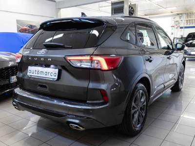 Ford Kuga 1.5 EcoBoost 150 CV 2WD ST-Line Grigio usata Silea