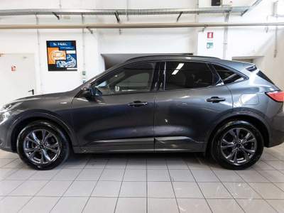 Ford Kuga 1.5 EcoBoost 150 CV 2WD ST-Line Grigio usata Silea