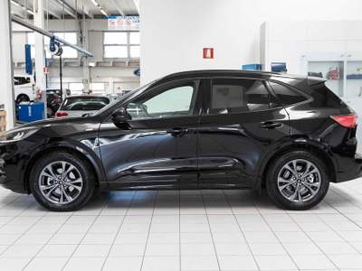 Ford Kuga 2.5 Full Hybrid 190 CV CVT 2WD ST-Line Nero usata Silea
