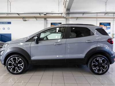 Ford EcoSport 1.0 EcoBoost 125 CV Start&Stop Active Grigio usata Silea