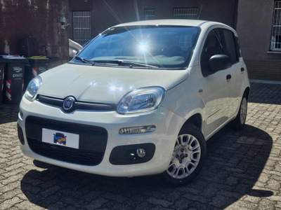 Fiat Panda 1.2 Lounge Bianco usata Novi Ligure