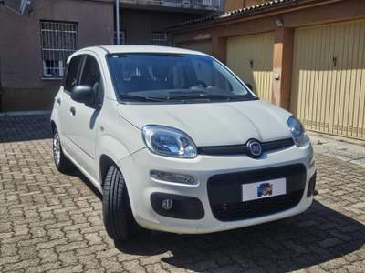 Fiat Panda 1.2 Lounge Bianco usata Novi Ligure