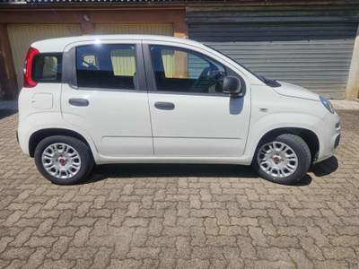 Fiat Panda 1.2 Lounge Bianco usata Novi Ligure