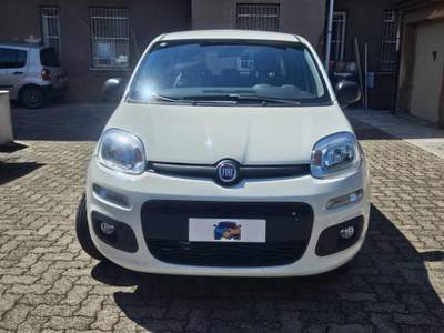 Fiat Panda 1.2 Lounge Bianco usata Novi Ligure