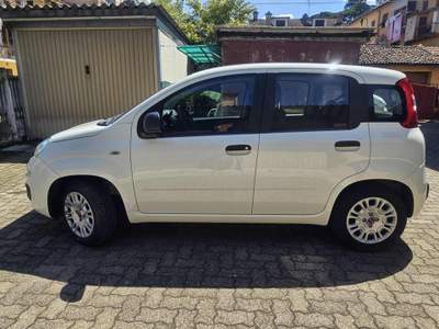 Fiat Panda 1.2 Lounge Bianco usata Novi Ligure
