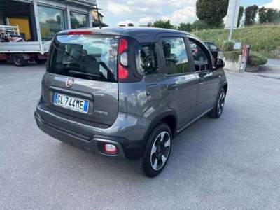 Fiat Panda 1.0 FireFly S&S Hybrid Cross usata Lucca