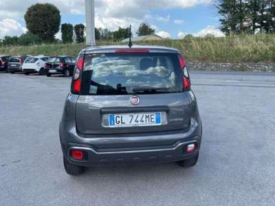 Fiat Panda 1.0 FireFly S&S Hybrid Cross usata Lucca