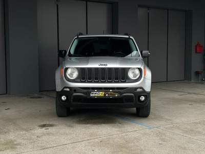 Jeep Renegade 2.0 Mjt 170CV 4WD Active Drive Low Trailhawk Grigio usata Monselice