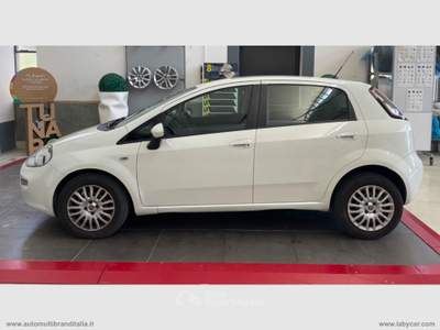Fiat Punto Punto 1.4 8V 5p. Natural Power Street Bianco usata Venezia