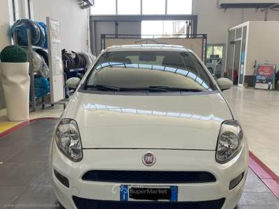 Fiat Punto Punto 1.4 8V 5p. Natural Power Street Bianco usata Venezia