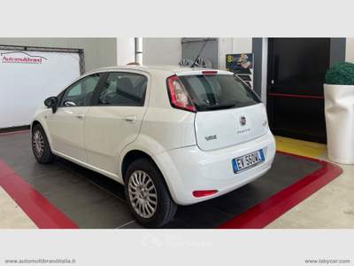Fiat Punto Punto 1.4 8V 5p. Natural Power Street Bianco usata Venezia